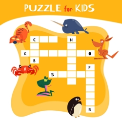 Activity Books
