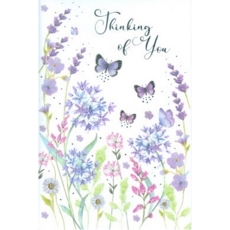 THINKING OF YOU CARDS, 6's Floral Butterflies