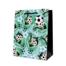 GIFT BAG,Football (Medium)