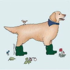 BLANK CARDS,6's Dog In Boot's