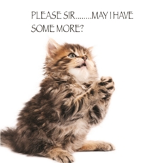 HUMOUR CARDS,Blank 6's Funimals Please Sir. .