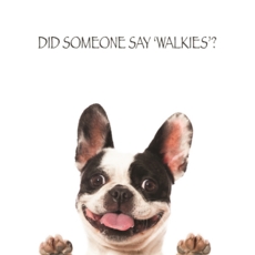 HUMOUR CARDS,Blank 6's Funimals Walkies.