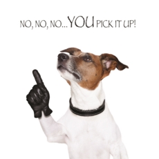 HUMOUR CARDS,Blank 6's Funimals You Pick It Up.