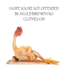 HUMOUR CARDS,Blank 6's Funimals Old Bird.