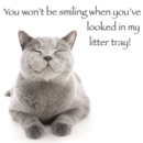HUMOUR CARDS,Blank 6's Funimals Litter Tray.