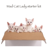 BLANK CARDS,Humour 6
