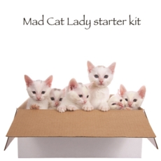 BLANK CARDS,Humour 6's FunimalsMad Cat Lady