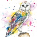 GREETINGS CARD, Love Lilly Owl.6's