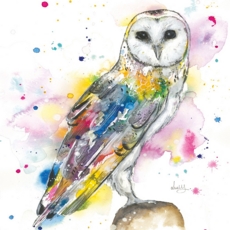 BLANK CARDS,6's Love Lilly Owl