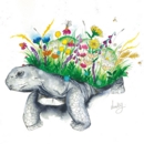 GREETINGS CARD, Love Lilly Tortoise. 6's