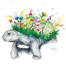 BLANK CARDS,6's Love Lilly Tortoise