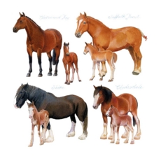 GREETING CARD, Richard Partis Horses.Blank