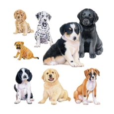 GREETING CARD, Richard Partis, Puppies.Blank