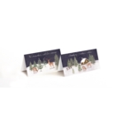 BOXED CARDS,Winter Animals Slim 20's
