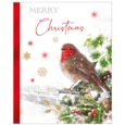 BOXED CARDS,Luxury,Winter Visit 24's (Was 3.99)