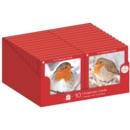 BOXED CARDS,Photographic Robin Square 10's CDU