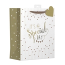 GIFT BAG, It's A Special Day Hearts & Bunting Design Large