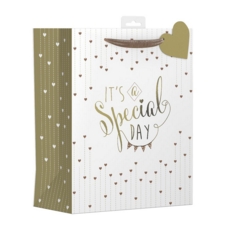 GIFT BAG, It's A Special Day Hearts & Bunting Design Large