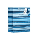 GIFT BAG, Let's Celebrate, Blue Stripe Design (Large)