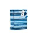 GIFT BAG, Let's Celebrate, Blue Stripe Design (Medium)