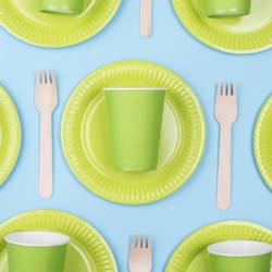 Party Tableware