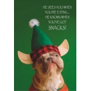 BLANK CARDS,Humour 6's Funimals Xmas Dog